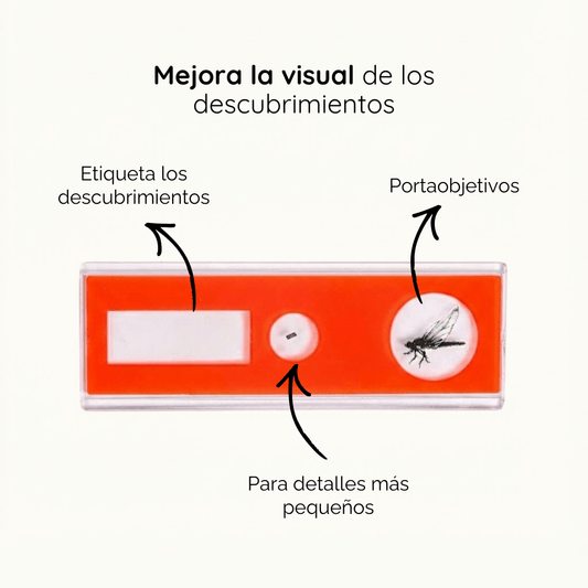 Láminas Portaobjetos para Microscopio - Floha